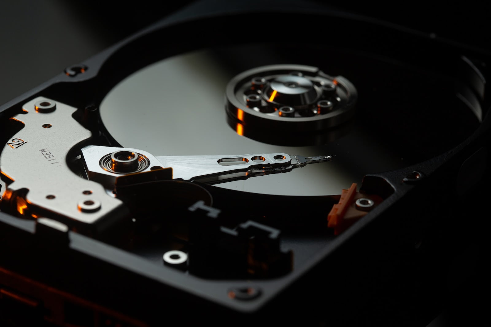cara backup wordpress