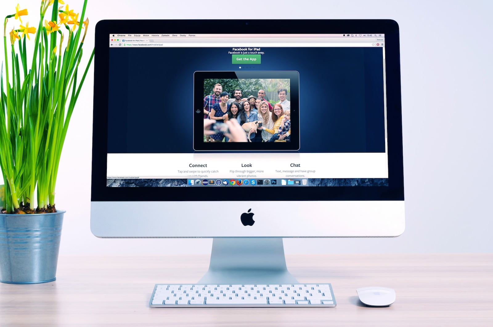 cara cek domain website